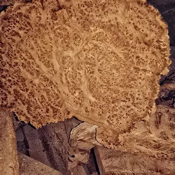 Капы