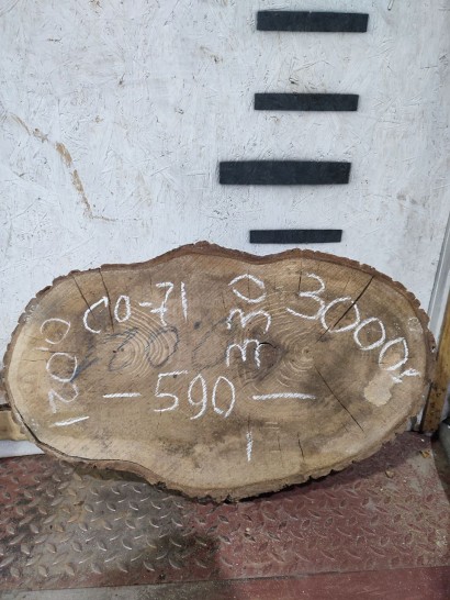 Спил СО71 Орех 590*330*100